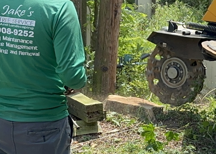 Stump Grinding Services